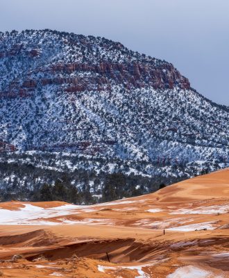 Coral Pink Sand Dunes State Park in Utah, USA